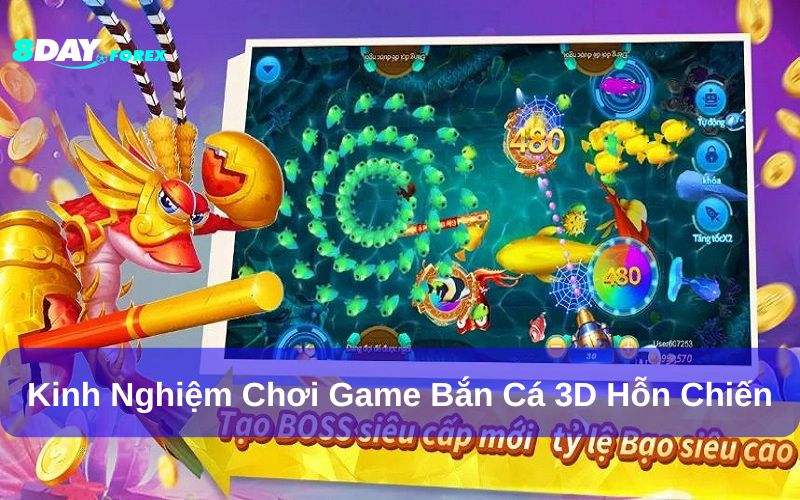 Học hỏi kinh nghiệm săn cá để nâng cao cơ hội nhận điểm thưởng