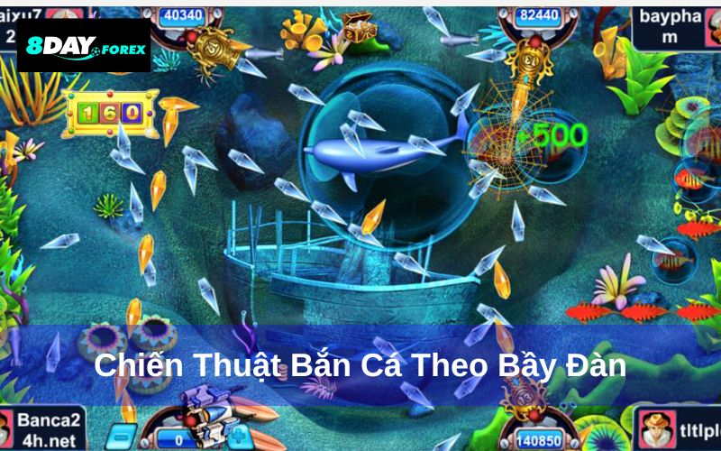 Chiến thuật săn cá theo bầy đàn