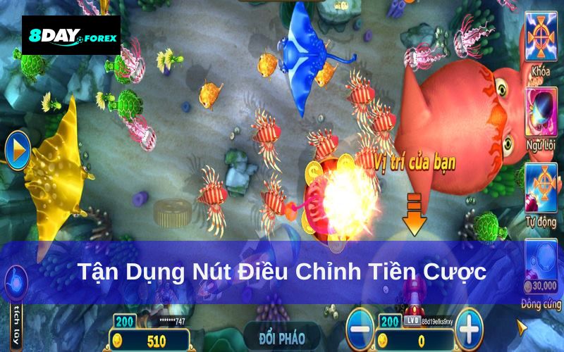 Chỉnh mức cược phù hợp kiếm thưởng