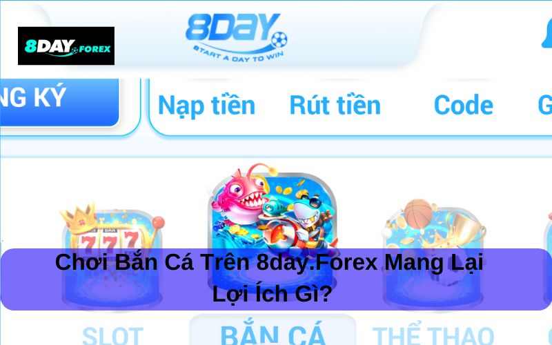 Chơi Bắn cá trên comparison.us.com mang lại lợi ích gì?