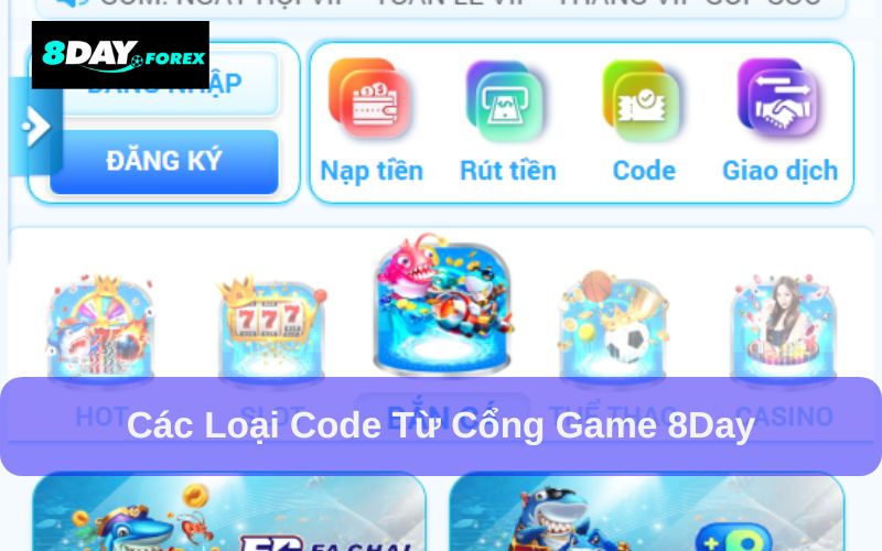 Code 8Day đa dạng và hấp dẫn