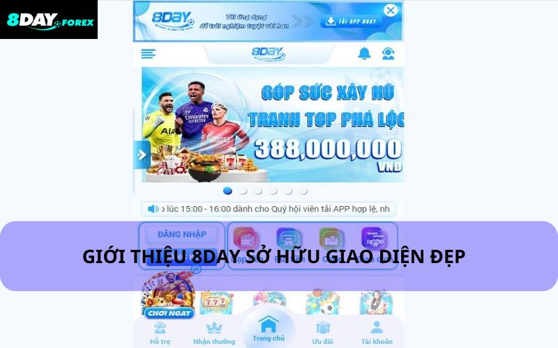 Giao diện 8Day đẹp mắt với tone màu hiện đại