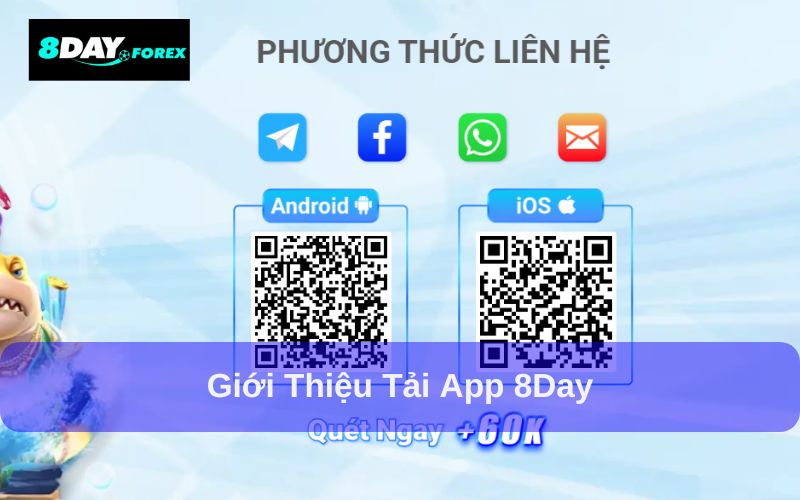 Tải app 8Day bằng cách quyết mã QR
