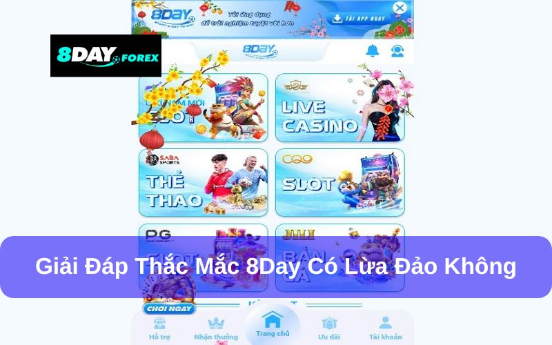 8Day có lừa đảo không