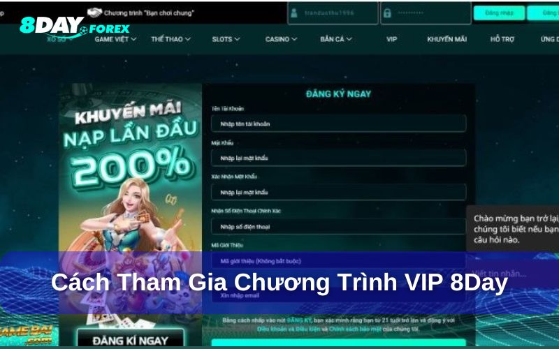 Cách nâng hạng thành viên VIP tại 8Day