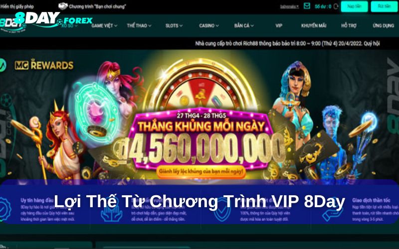 Lợi thế từ chương trình VIP 8day