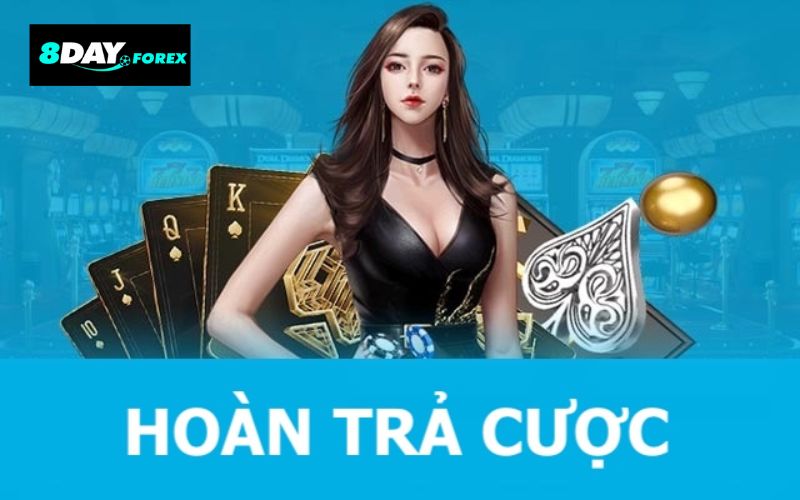 8day Hoàn trả cược thua mỗi tuần mang nhiều lợi ích cho hội viên