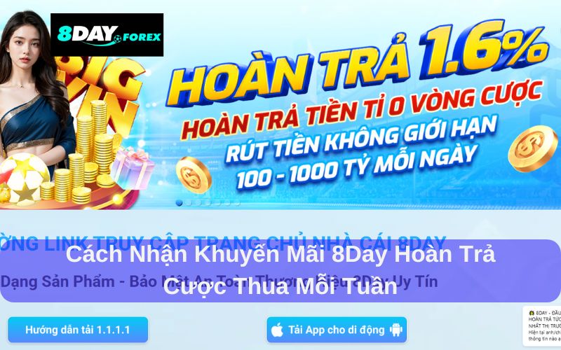 8day Hoàn trả cược thua mỗi tuần và hướng dẫn cách nhận