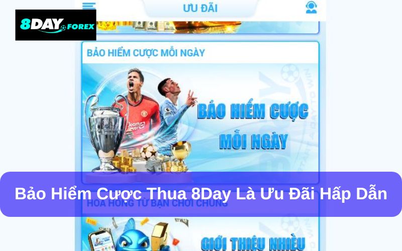 8Day tặng gói bảo hiểm cược thua cho hội viên hấp dẫn