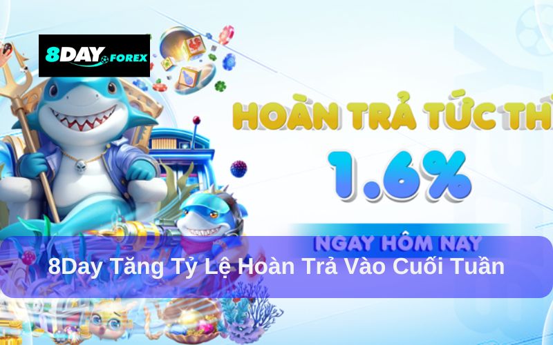 8day Tăng tỷ lệ hoàn trả vào cuối tuần - Cơ hội nhận thưởng cao hơn