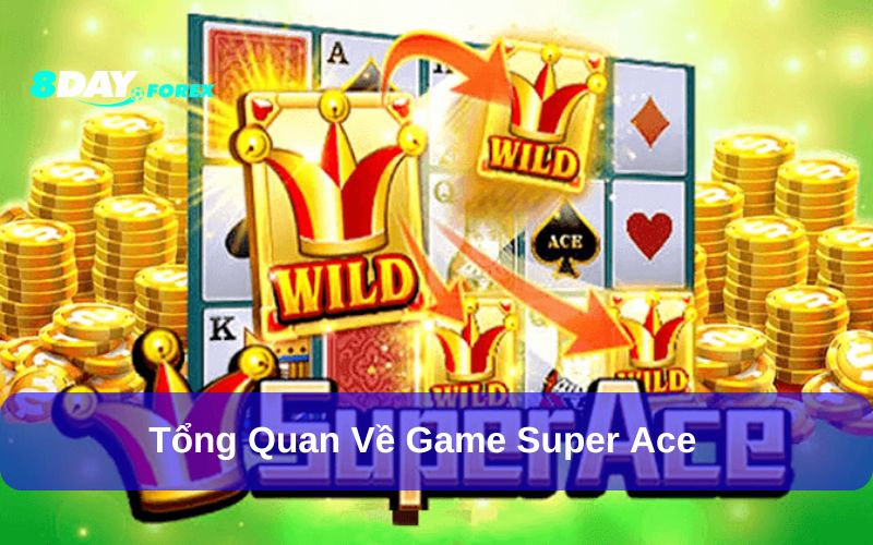 Cách chơi game Super ACE dễ dàng