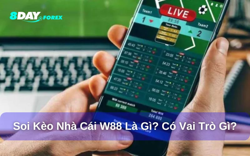 Tìm hiểu soi kèo nhà cái có nghĩa là gì?
